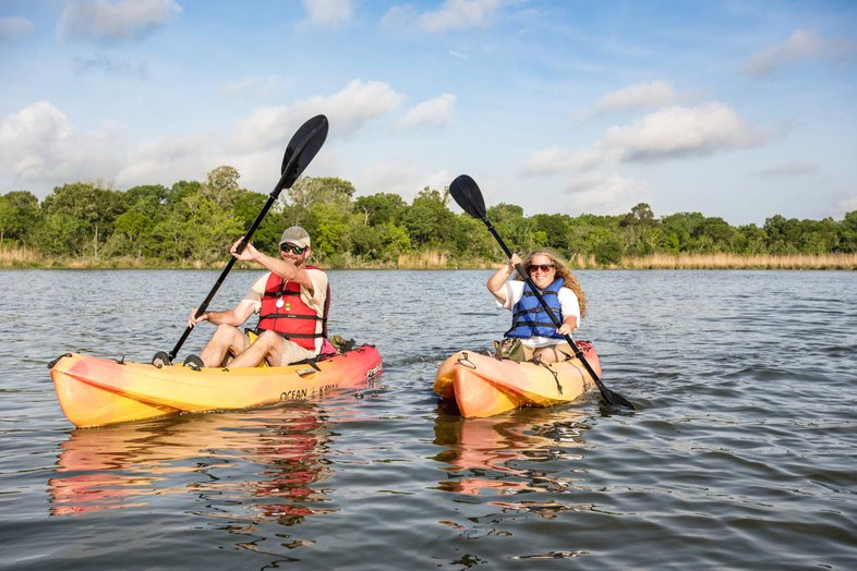 Two people kayaking through a bayou.