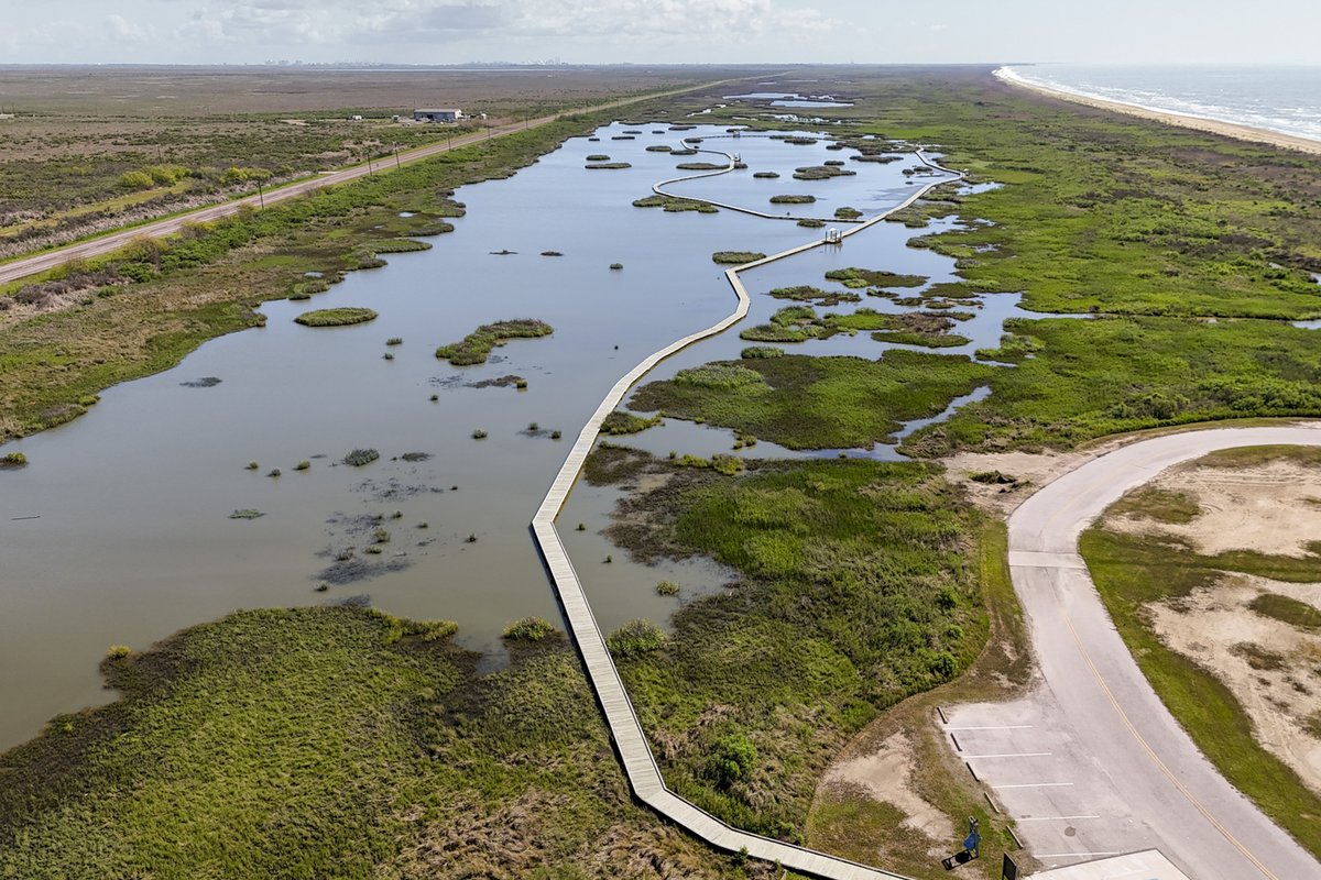 An overhead view of a borad walk running through a marsh.