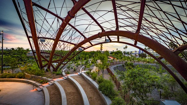 Roof garden at the Center for Urban Ecology.