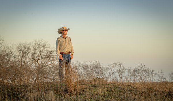 A person standing and looking at ranch land.
