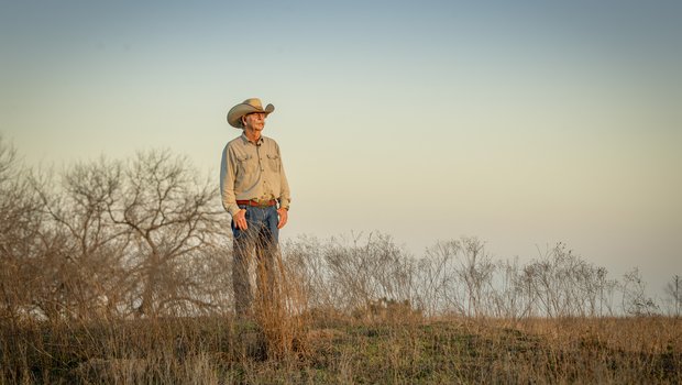 A person standing and looking at ranch land.