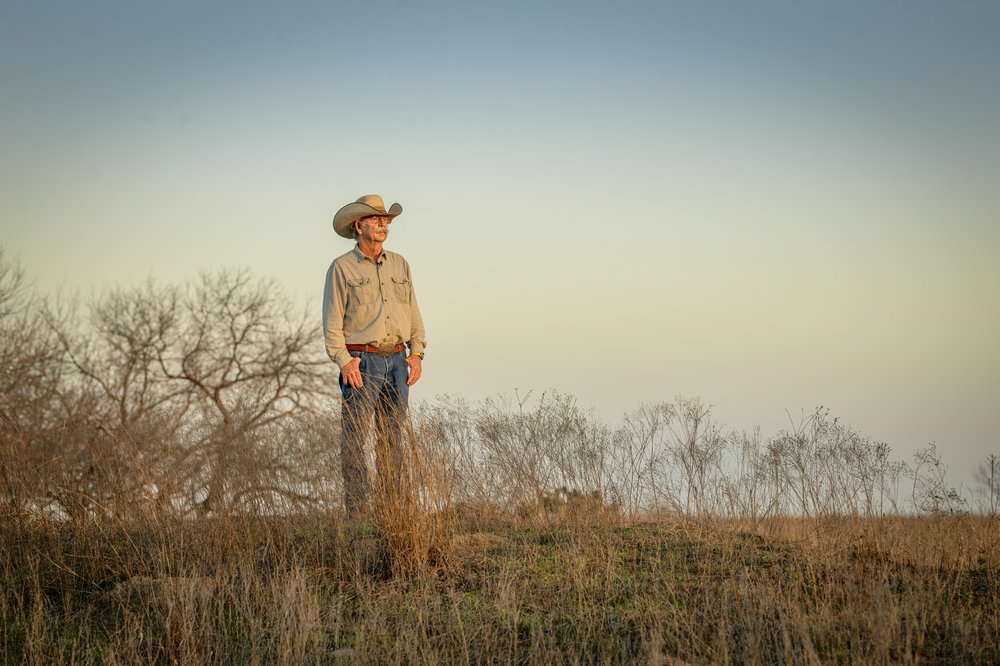 A person standing and looking at ranch land.