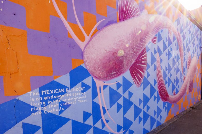 A view of the Blind Cat mural.