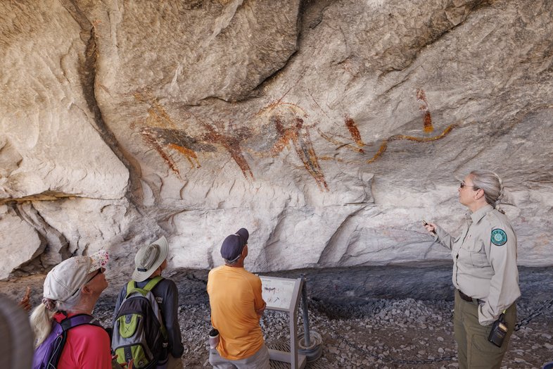 People looking at rock art on a canyon wall.
