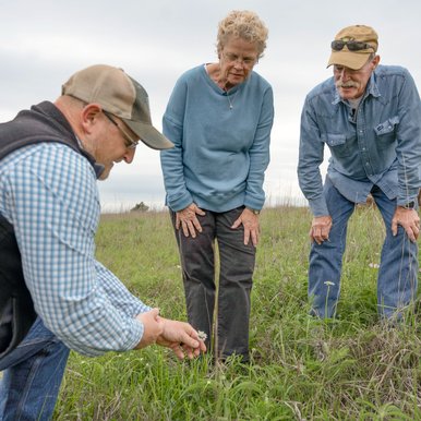 Tim Siegmund points out plants to Cheryl and Mark Brown on a biodiversity survey