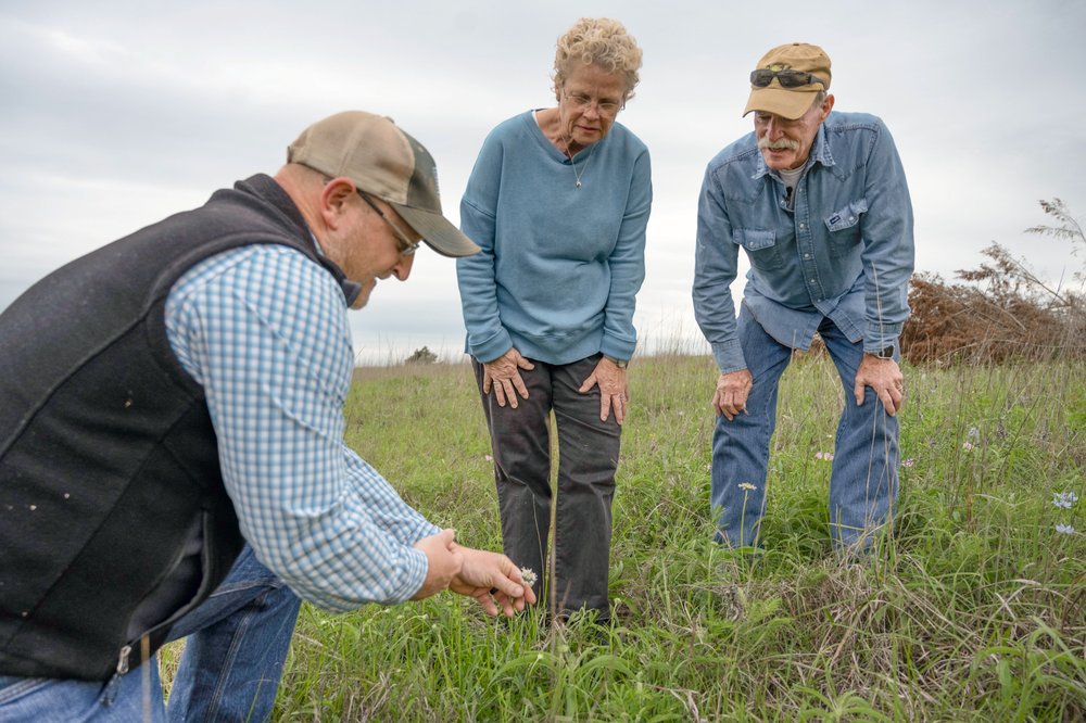 Tim Siegmund points out plants to Cheryl and Mark Brown on a biodiversity survey