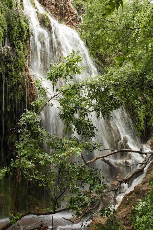 Gorman Falls