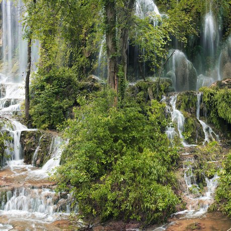 Gorman Falls