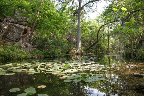 Honey Creek flows along wooded banks