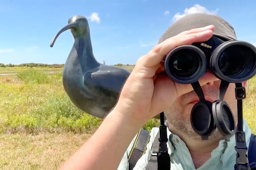 Birder Parker Allie looks through binoculars