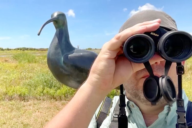 Birder Parker Allie looks through binoculars