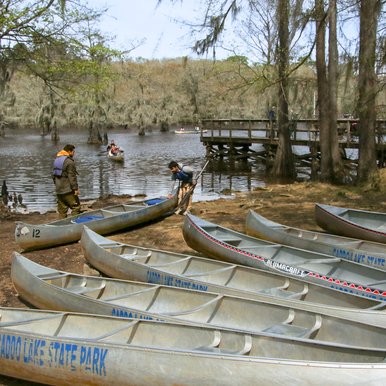 Canoes along the shore of Caddo Lake