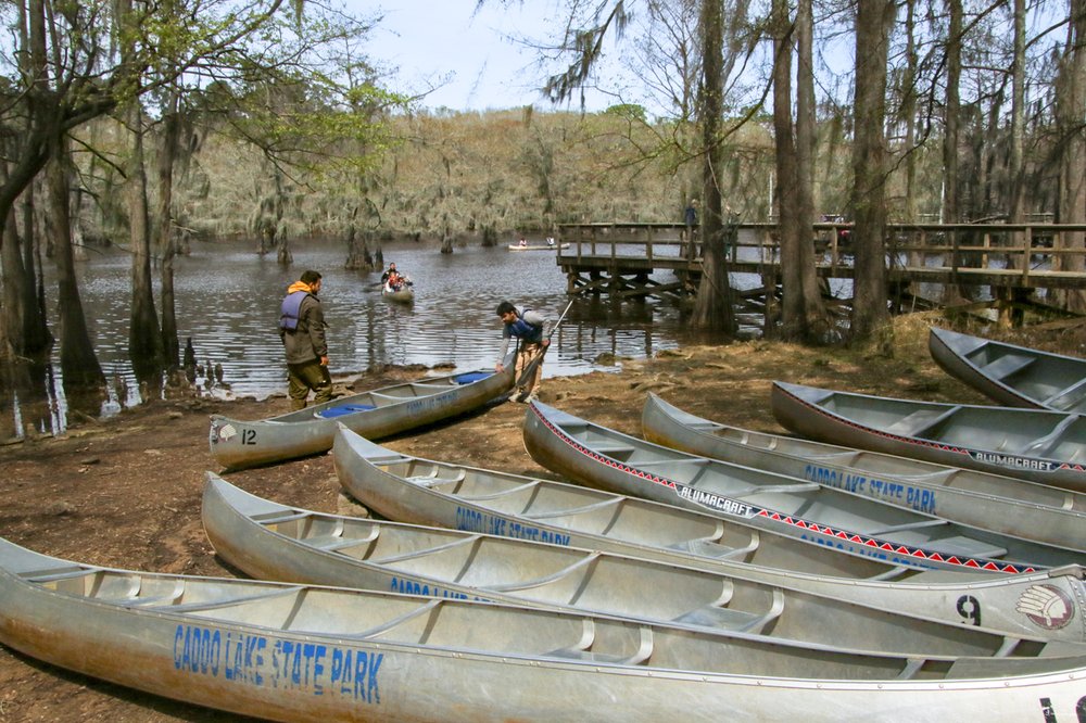 Canoes along the shore of Caddo Lake