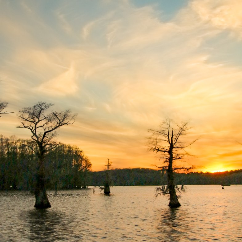Caddo Lake at Sunset
