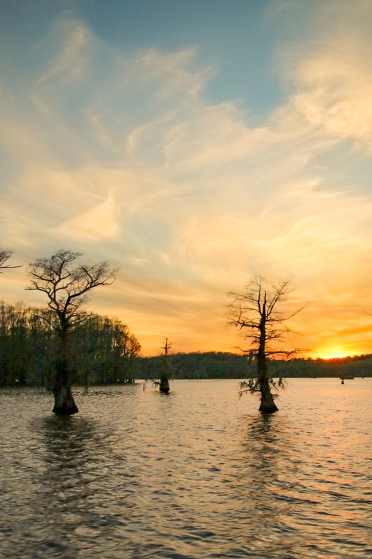 Caddo Lake at Sunset