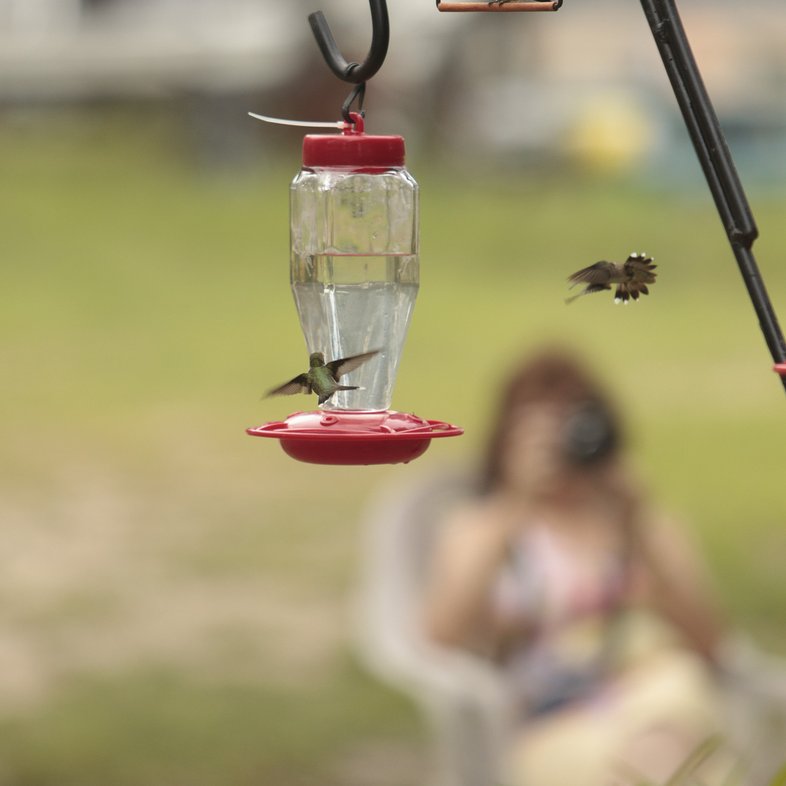 Three hummingbirds swarm a backyard feeder