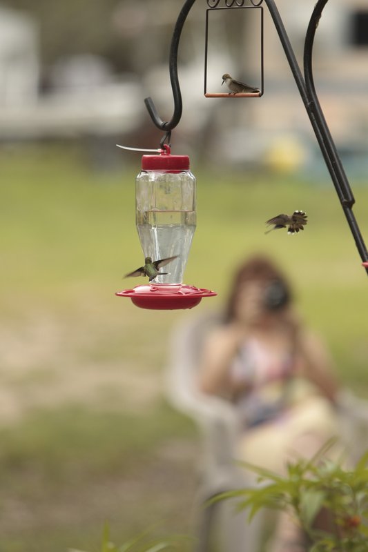 Three hummingbirds swarm a backyard feeder