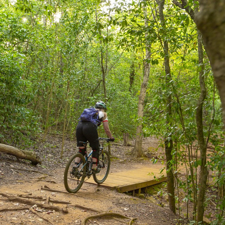 A mountain biker rides onto a boardwalk on a bike trail