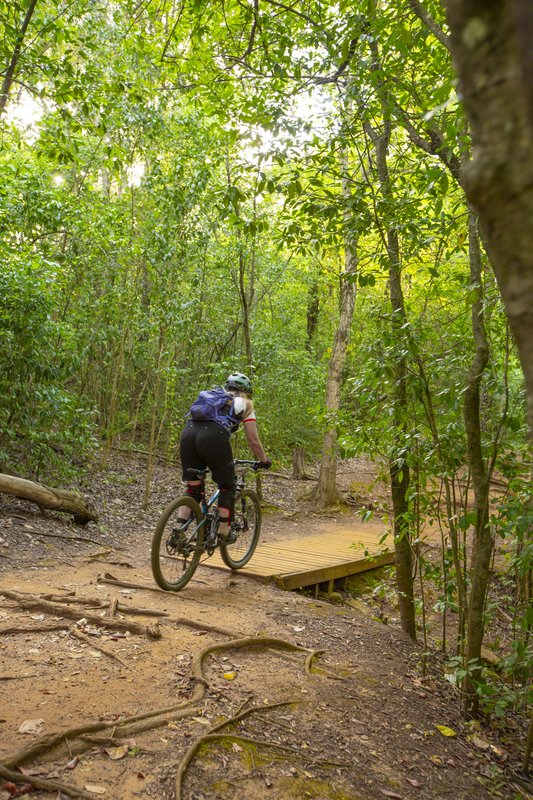 A mountain biker rides onto a boardwalk on a bike trail