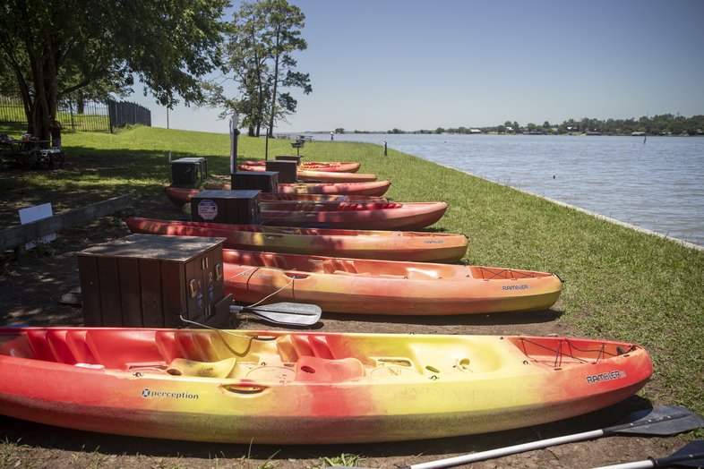 A row of rental kayaks along the shore of Lake Livingston
