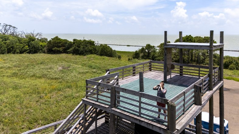 Birder on 30 foot tower to observe hawk migration at Candy Abshier Wildlife Management Area