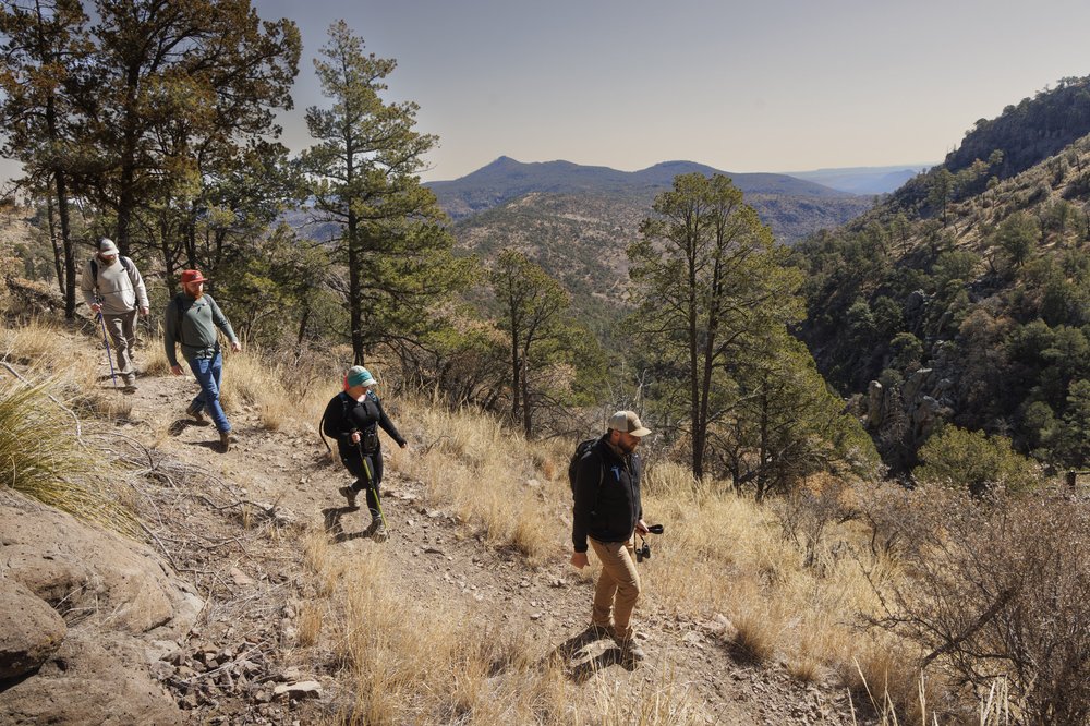 Four researchers hiking along trail in the high elevations of Davis Mountains