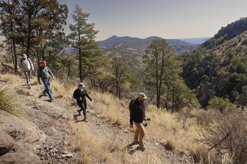 Four researchers hiking along trail in the high elevations of Davis Mountains