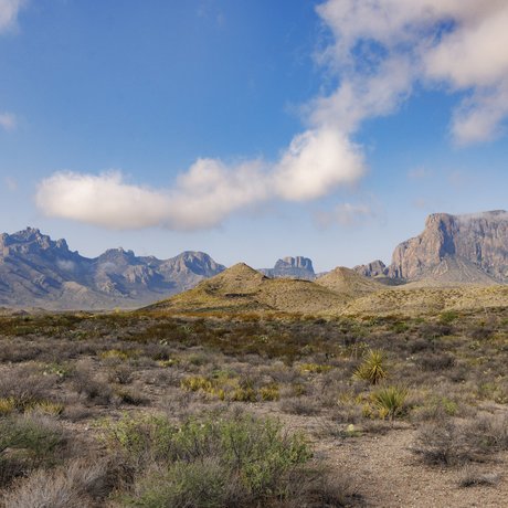 Northern view of the Chisos Mountains and Rosillos peak in Big Bend National Park