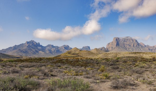 Northern view of the Chisos Mountains and Rosillos peak in Big Bend National Park