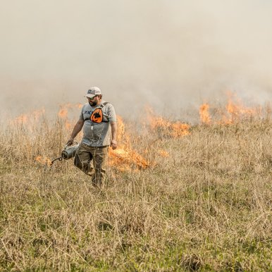 Worker in hardhat and protective clothing setting a fire for controlled burn of a field
