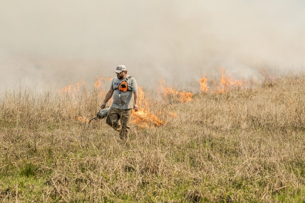 Worker in hardhat and protective clothing setting a fire for controlled burn of a field