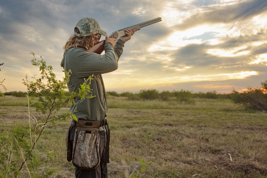 Dove Hunting in Hamilton, Texas