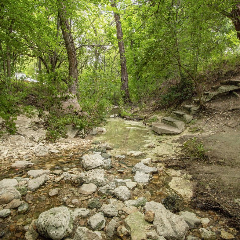 Creekbed