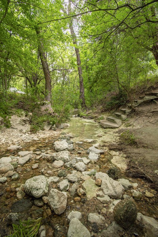 Creekbed
