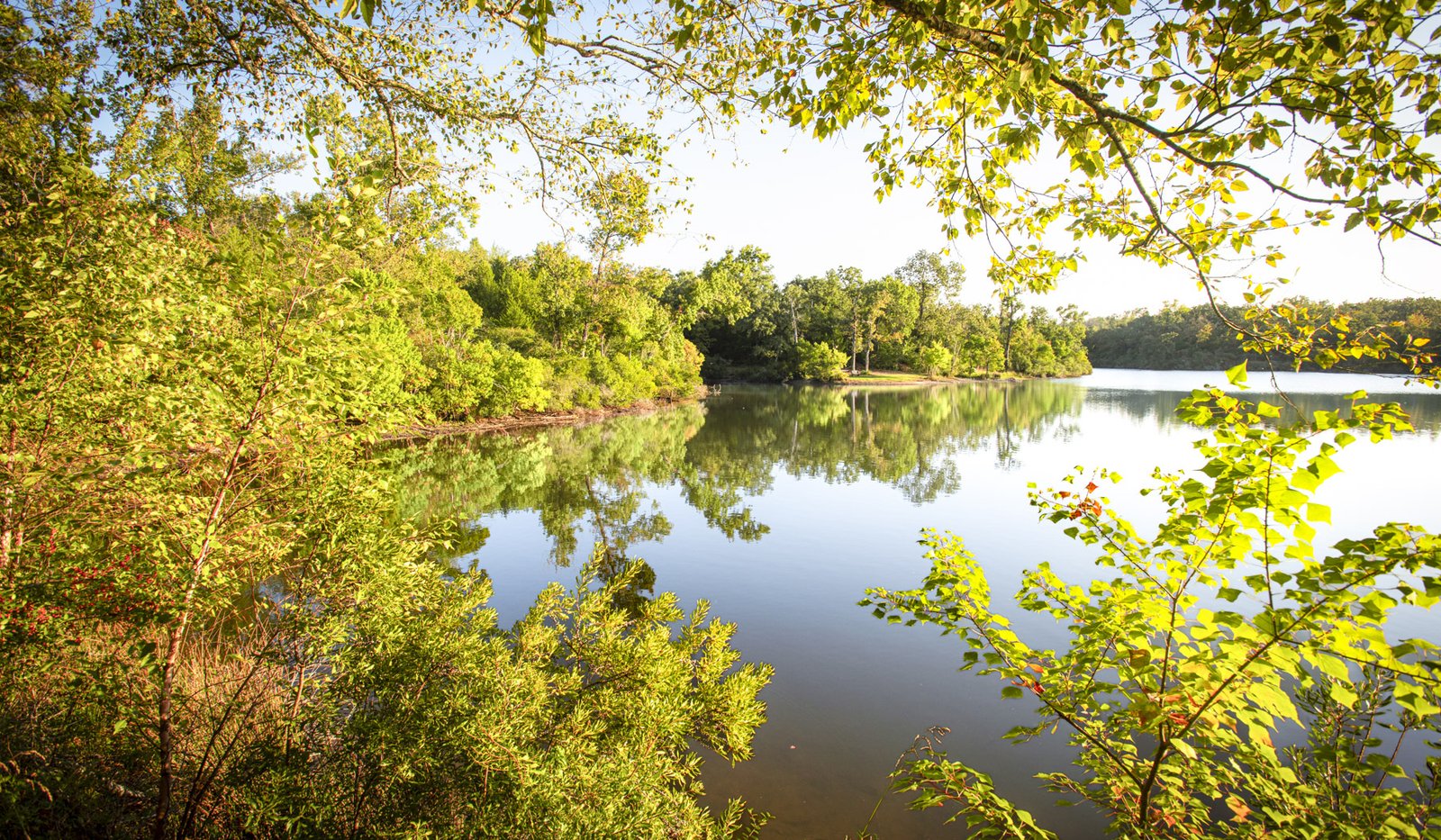 A view of a lake through tree branches.