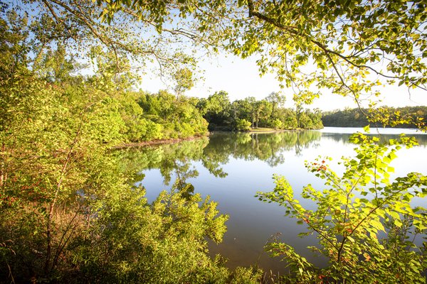 A view of a lake through tree branches.