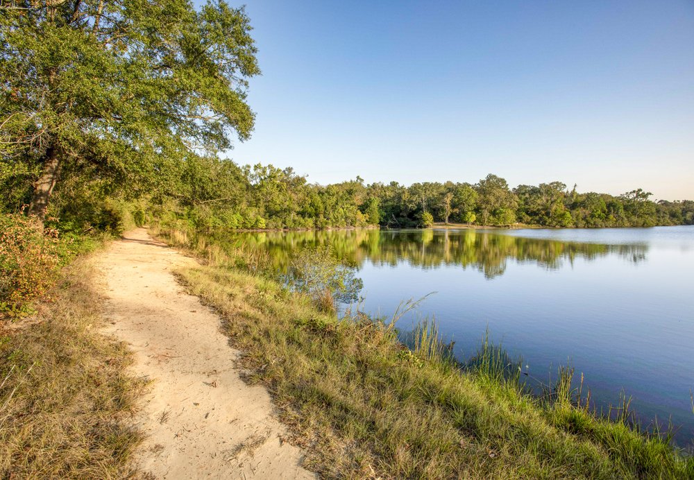 A trail beside a lake.