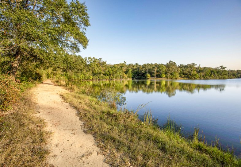 A trail beside a lake.