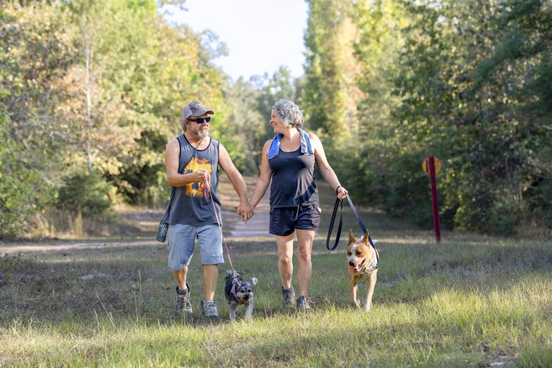 People with their dogs walking a trail