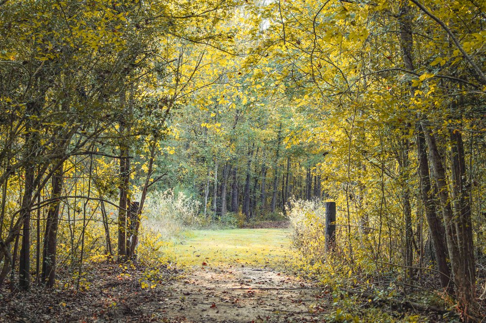 Fort Boggy Tunnel Trail.