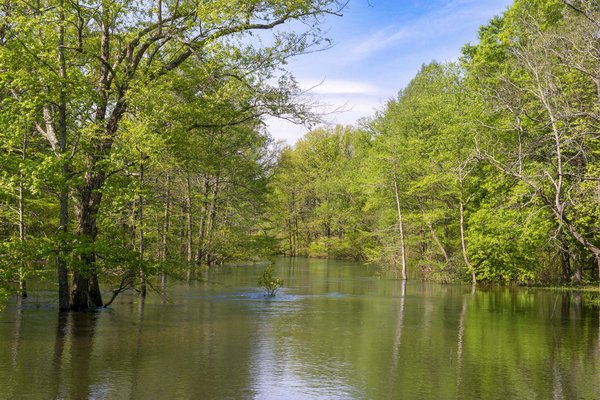 Big Cypress Bayou in Jefferson County