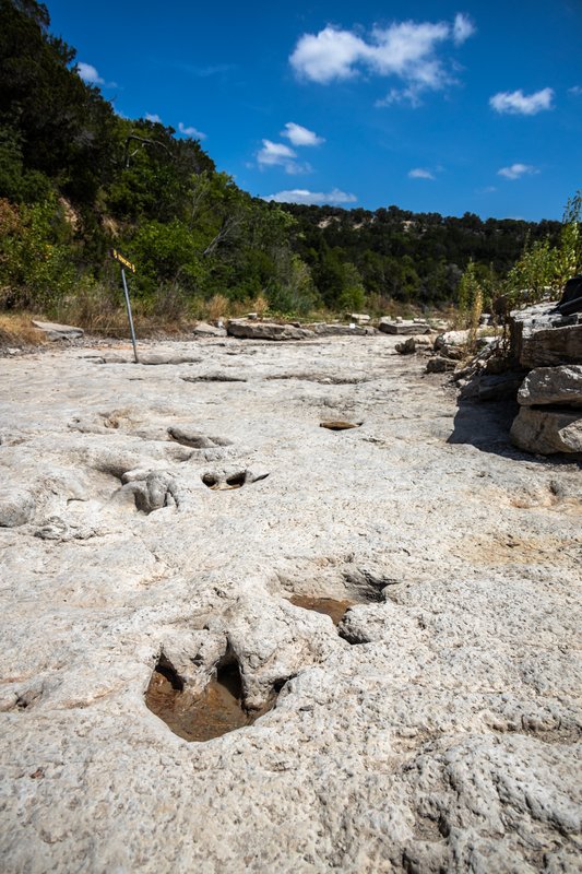 Tracks at Dinosaur Valley state park