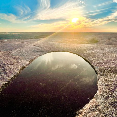 Vernal pool at Enchanted Rock