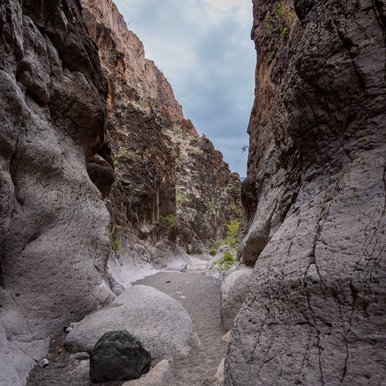 Closed Canyon’s high rock walls create a shady oasis