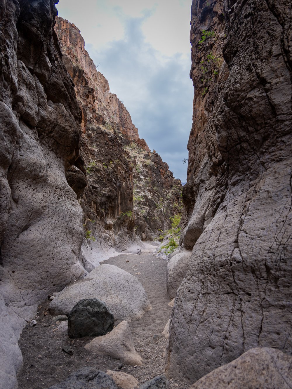 Closed Canyon’s high rock walls create a shady oasis