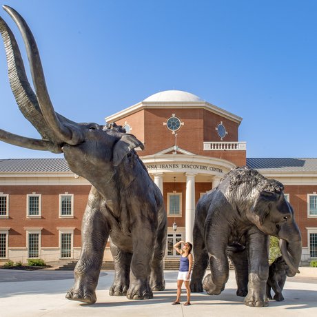 Two large bronze sculptures of mammoths stand outside the Mayborn Museum in Waco, Texas.