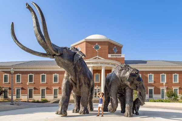 Two large bronze sculptures of mammoths stand outside the Mayborn Museum in Waco, Texas.