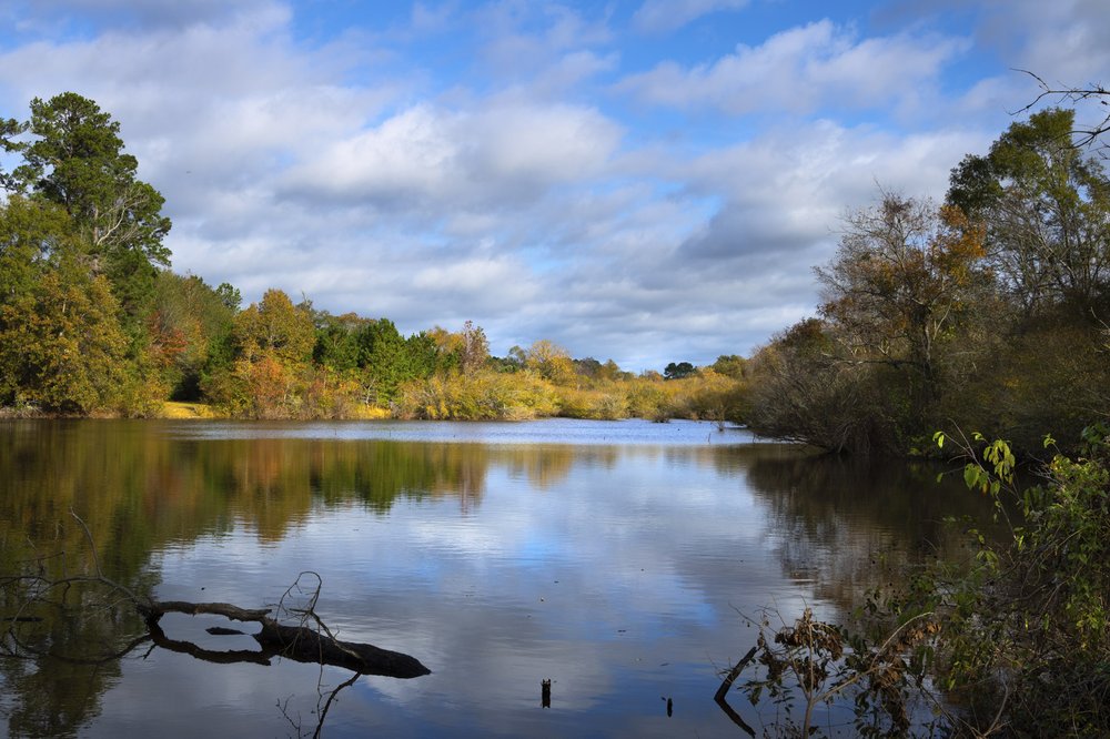 A reflective pond provides surrounded by fall colored trees at Neches River National Wildlife Refuge.