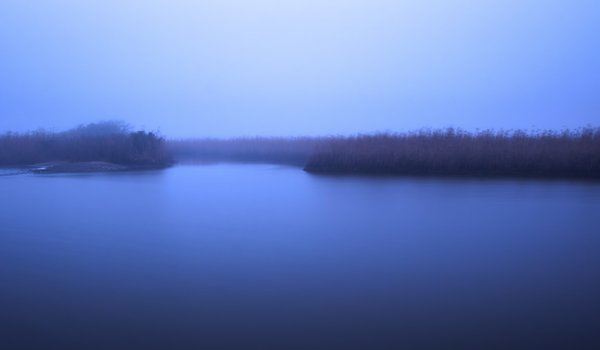 Dusk ushers in an ethereal fog at Lower Neches Wildlife Management Area.