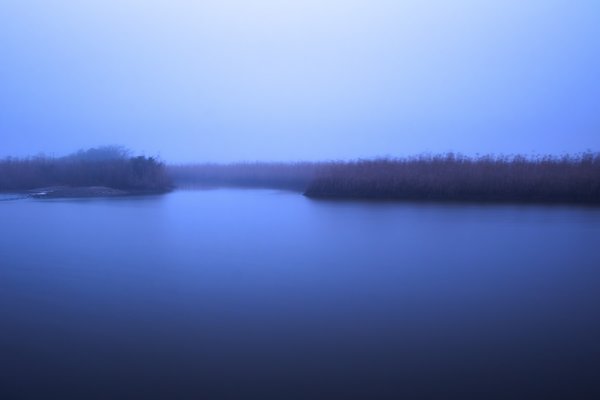 Dusk ushers in an ethereal fog at Lower Neches Wildlife Management Area.